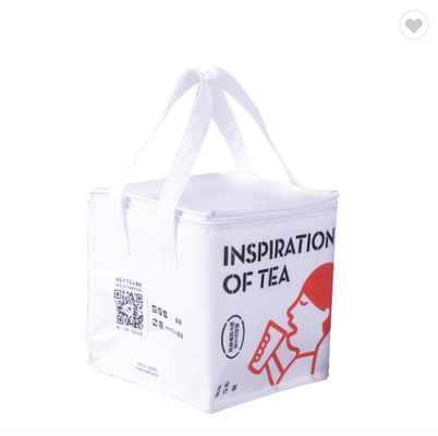 Good price Personalized Thermal Insulation Cooler Bag Can for Picnic online