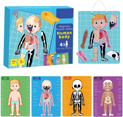 48pcs Educational Magnetic Human Body Jigsaw Puzzle Toys For 3 Year Old Toddler